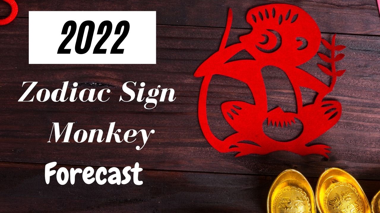 Toàn bộ con khỉ Trung Quốc Zodiac Động vật Dấu hiệu Dự báo năm 2022