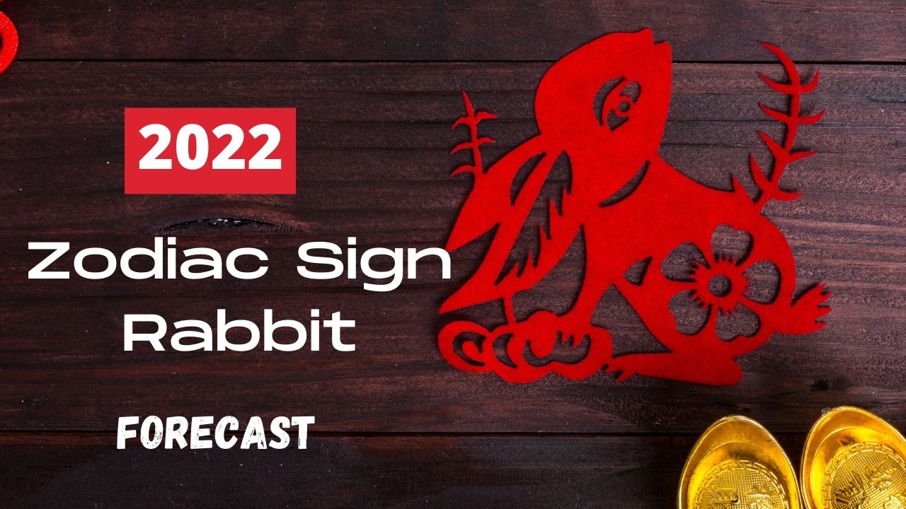 Toàn bộ dự báo về dấu hiệu động vật hoàng đạo của thỏ Trung Quốc năm 2022